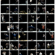 Image for article titled Human Beings At Play